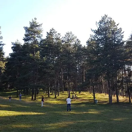 Ksenija アパート ズラティボール